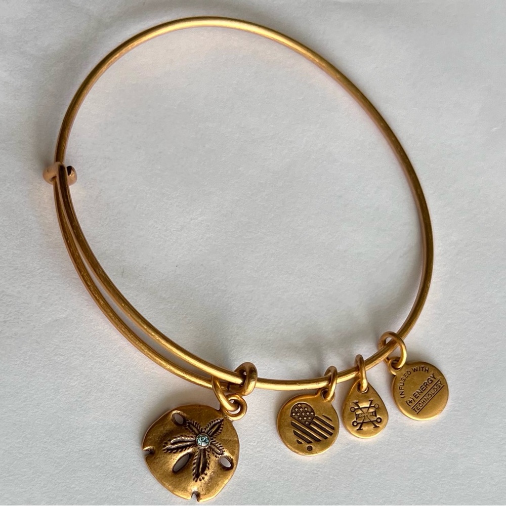 Alex and Ani Sand Dollar Bangle with a Crystal
